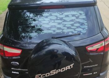 Ford Ecosport Titanium 2.0 16V PowerShift (Flex) - Foto #8