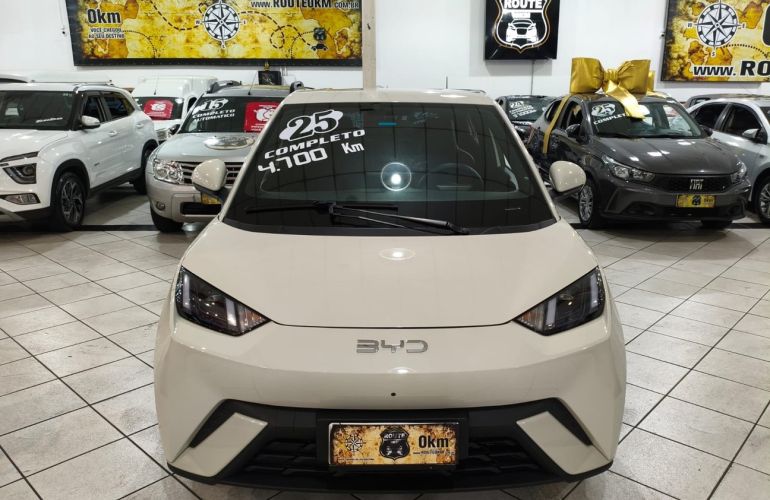 BYD Dolphin Mini 38 Kw 5l - Foto #2