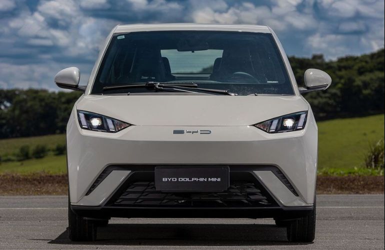 BYD Dolphin Mini 38 Kw 5l - Foto #1
