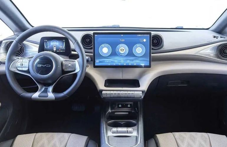 BYD Dolphin Mini 38 Kw 5l - Foto #2