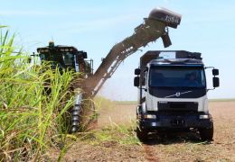 Caminhão criado por brasileiros anda sozinho e reduz perdas nas plantações