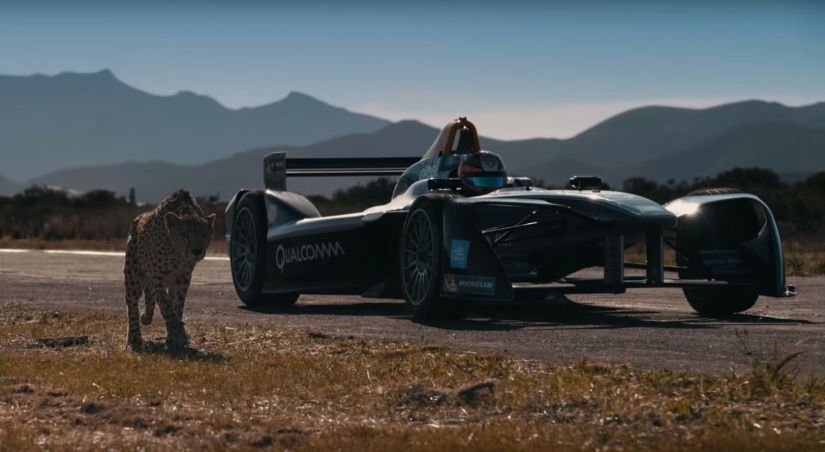 Gueopardo aposta corrida com carro da F-E