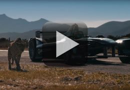 Gueopardo aposta corrida com carro da F-E