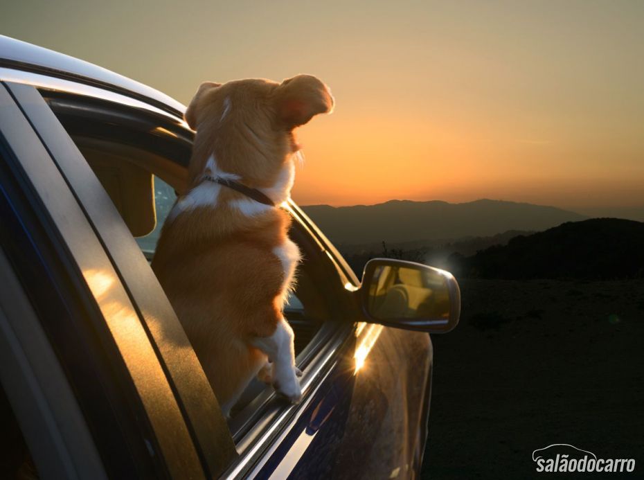 Observando o pôr-do-sol