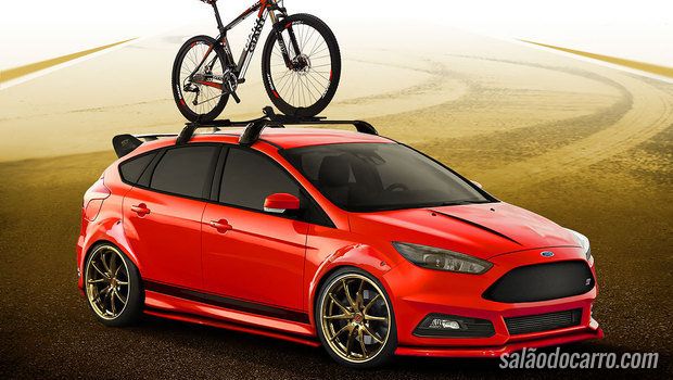 Focus ST by COBB