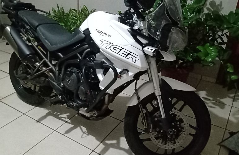 triumph tiger 2019