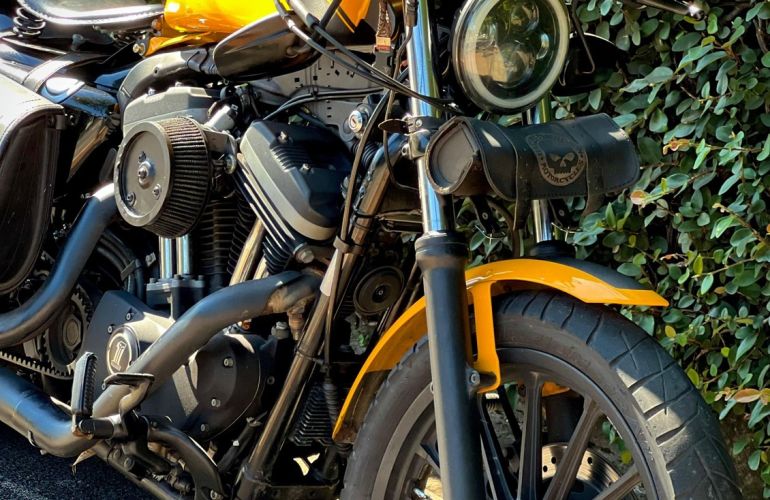 Harley-Davidson Sportster Iron 883 - Foto #9