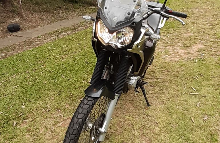 Yamaha Xtz 250 Tenere Blueflex - Foto #9