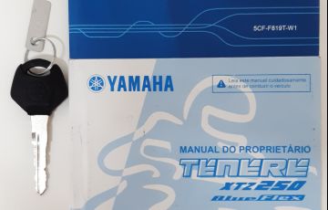 Yamaha Xtz 250 Tenere Blueflex - Foto #10