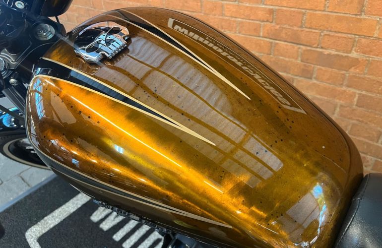 Harley-Davidson Sportster Xl 883 Custom - Foto #9