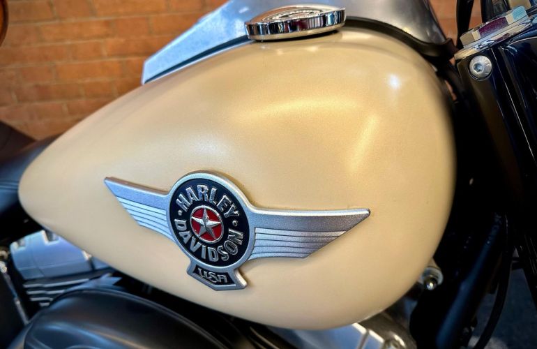 Harley-Davidson Softail Fat Boy Special - Foto #7