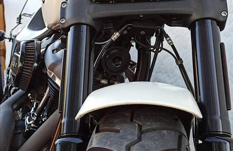 Harley-Davidson Dyna Fat Bob 114 - Foto #8