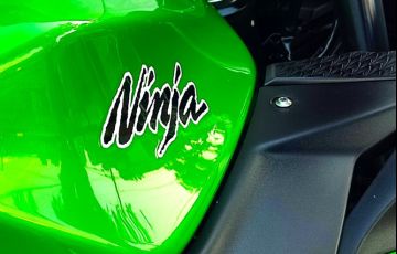 Kawasaki Ninja 300 - Foto #10
