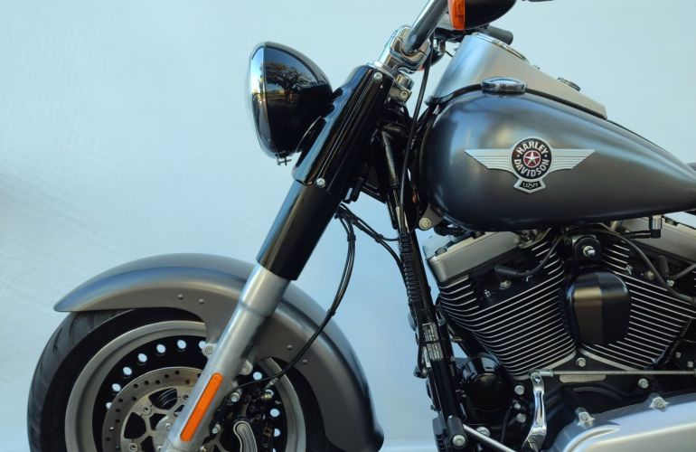Harley-Davidson Fat Boy Low Special - Foto #9