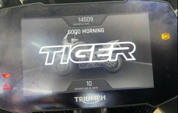 Triumph Tiger 900 Rally Pro - Foto #8