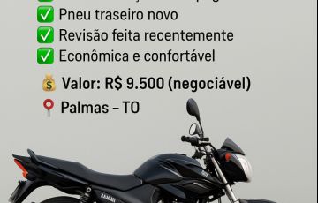 Yamaha YS 150 Fazer ED - Foto #4