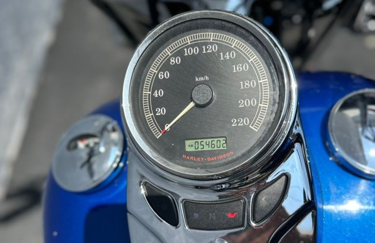 Harley-Davidson Heritage Softail Classic - Foto #10