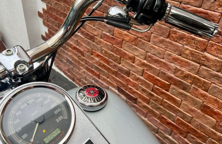 Harley-Davidson Fat Boy Flstf - Foto #5